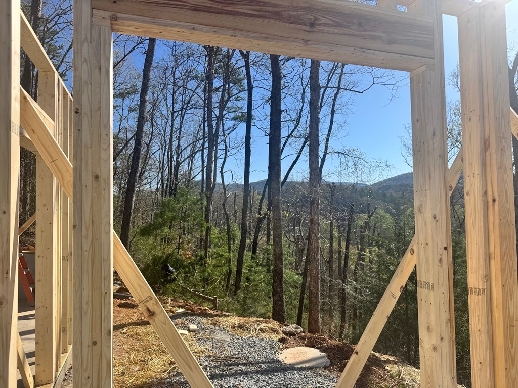 71 Black Walnut Place