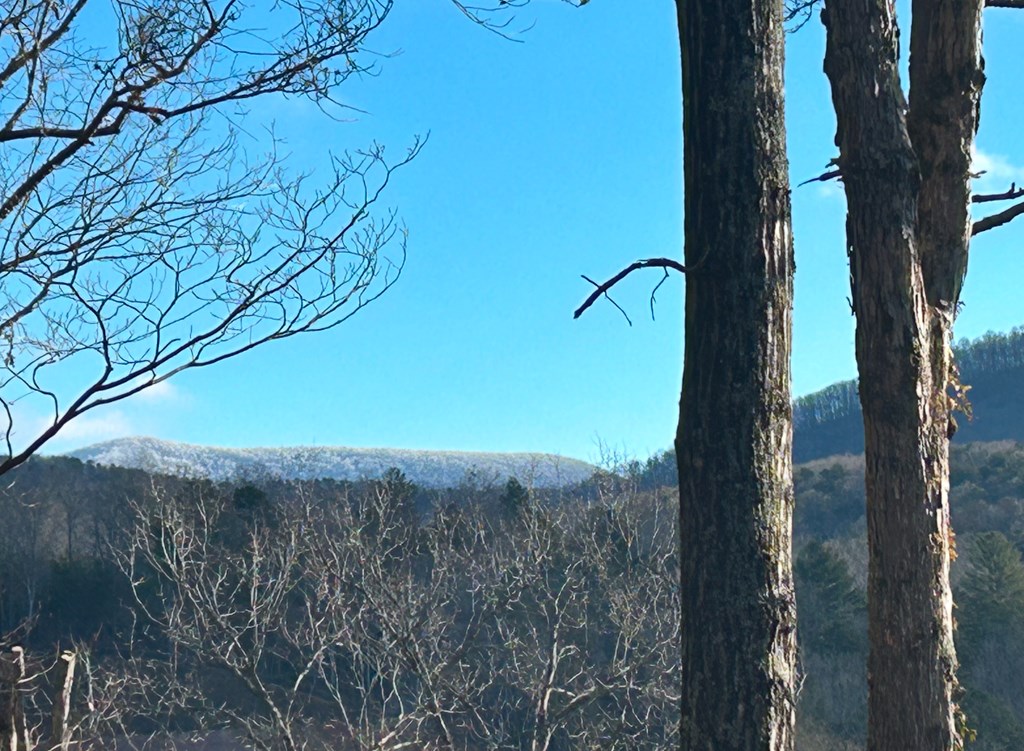 71 Black Walnut Place