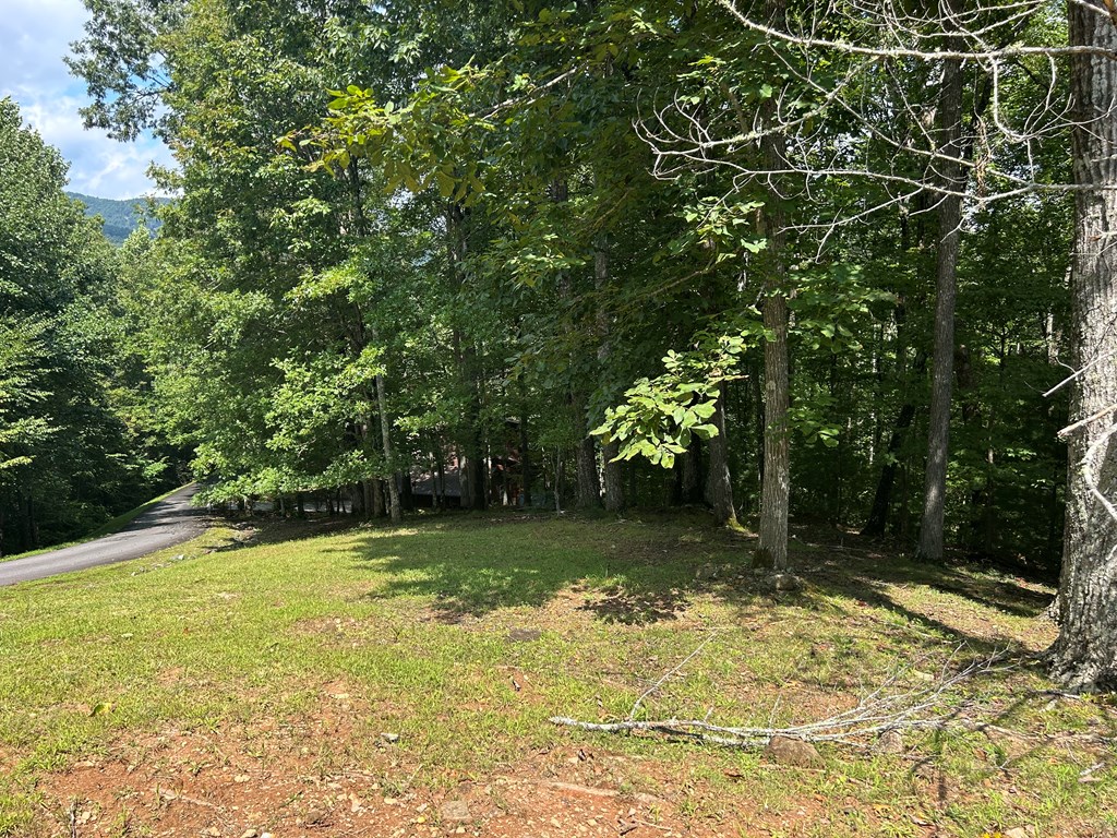 Lt 19 Bitter Creek Road