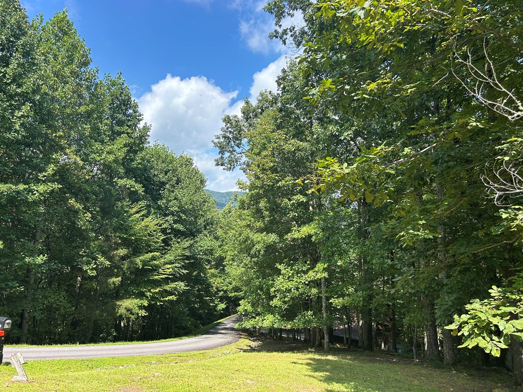 Lt 19 Bitter Creek Road