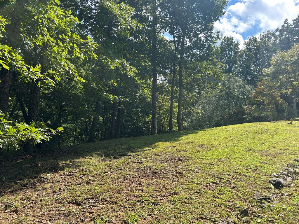 Lt 19 Bitter Creek Road