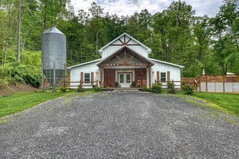 A home in Blue Ridge