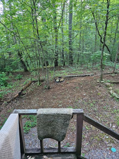 A home in Ellijay