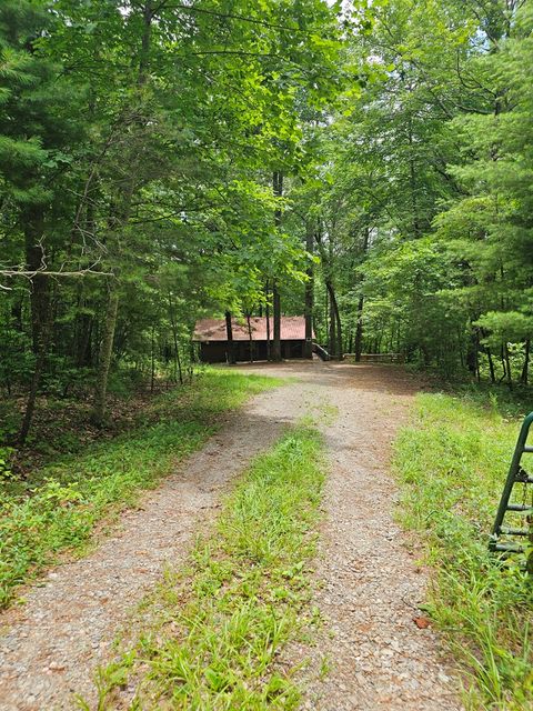 A home in Ellijay