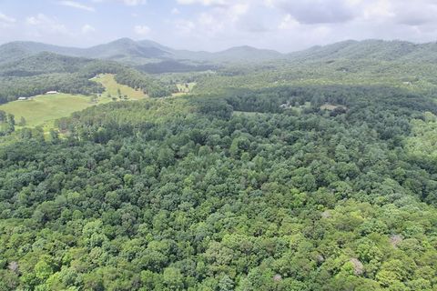 A home in Brasstown