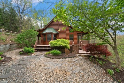 A home in Blue Ridge