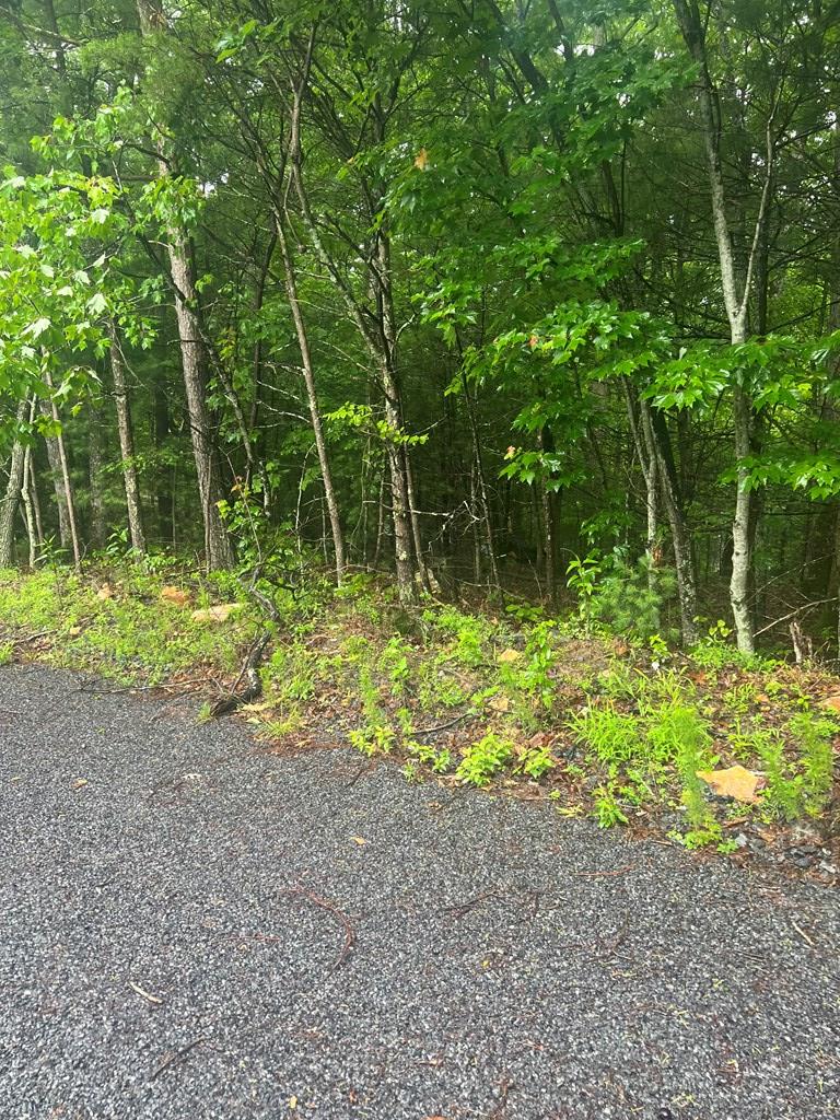 Tract 21 Old Parker Terrace