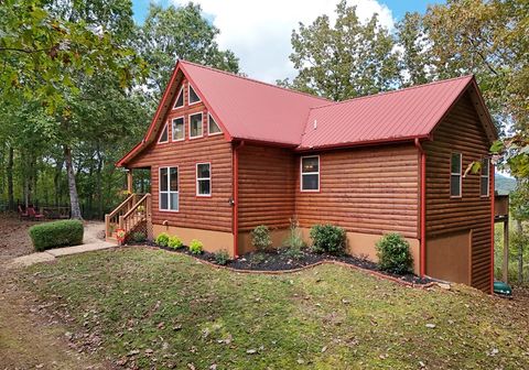 A home in Mineral Bluff