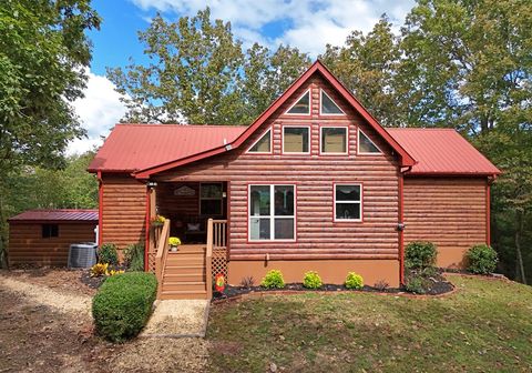 A home in Mineral Bluff