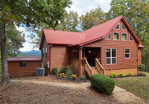 A home in Mineral Bluff