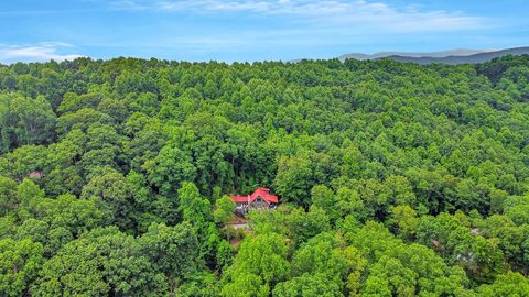 A home in Blue Ridge