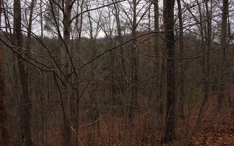 20 Thunder Road Hayesville NC 28904