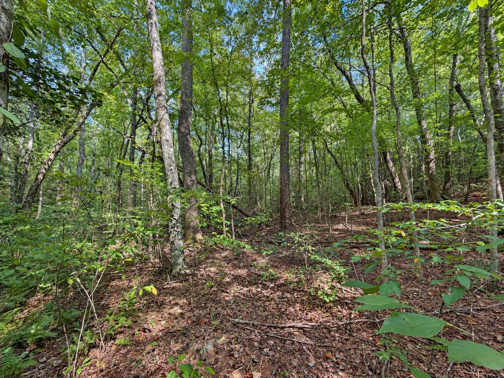 Lot 6 Mountain Brooks Road