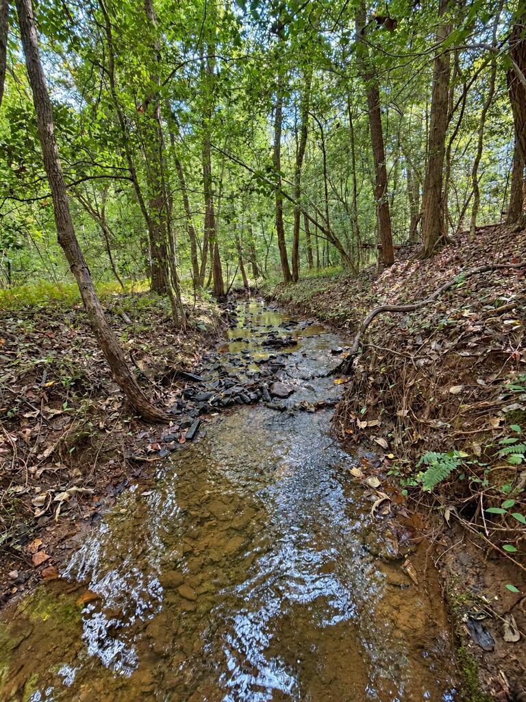 Lot 6 Mountain Brooks Road