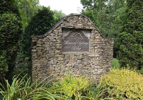 A home in Blue Ridge