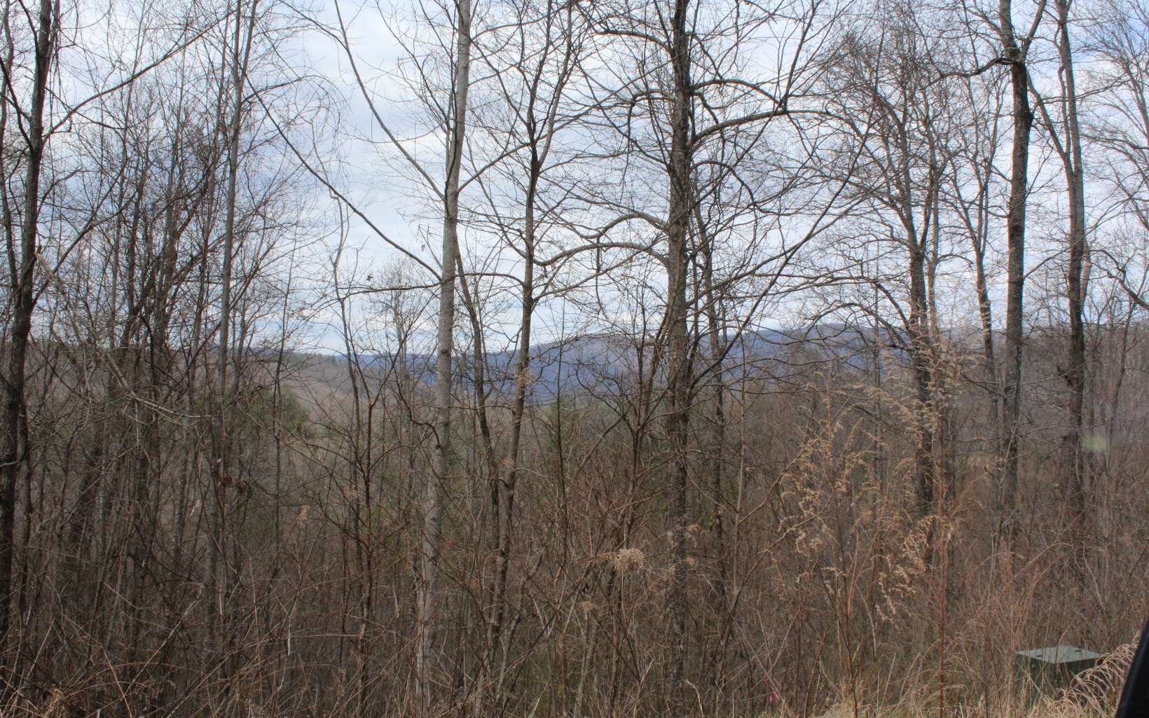 52 N Ridge High Meadows