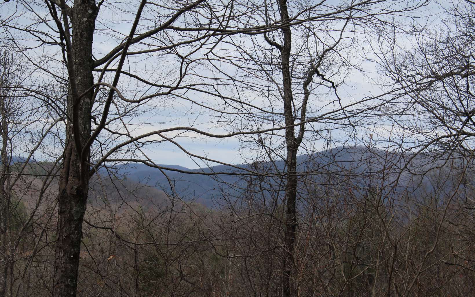 52 N Ridge High Meadows