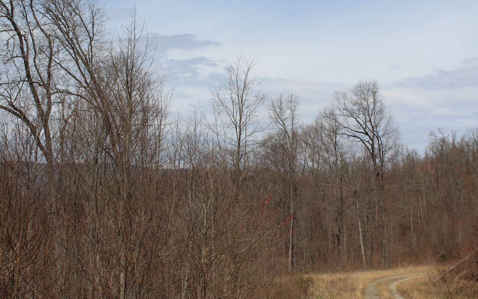 52 N Ridge High Meadows