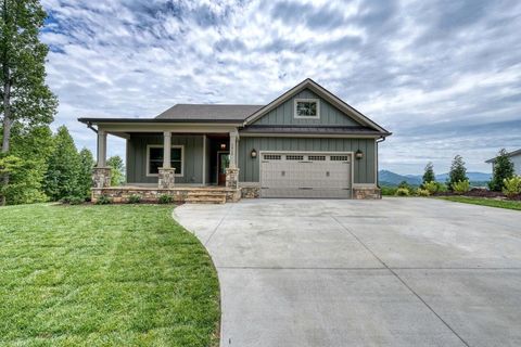 1513 Honey Bee Ridge Hiawassee GA 30546