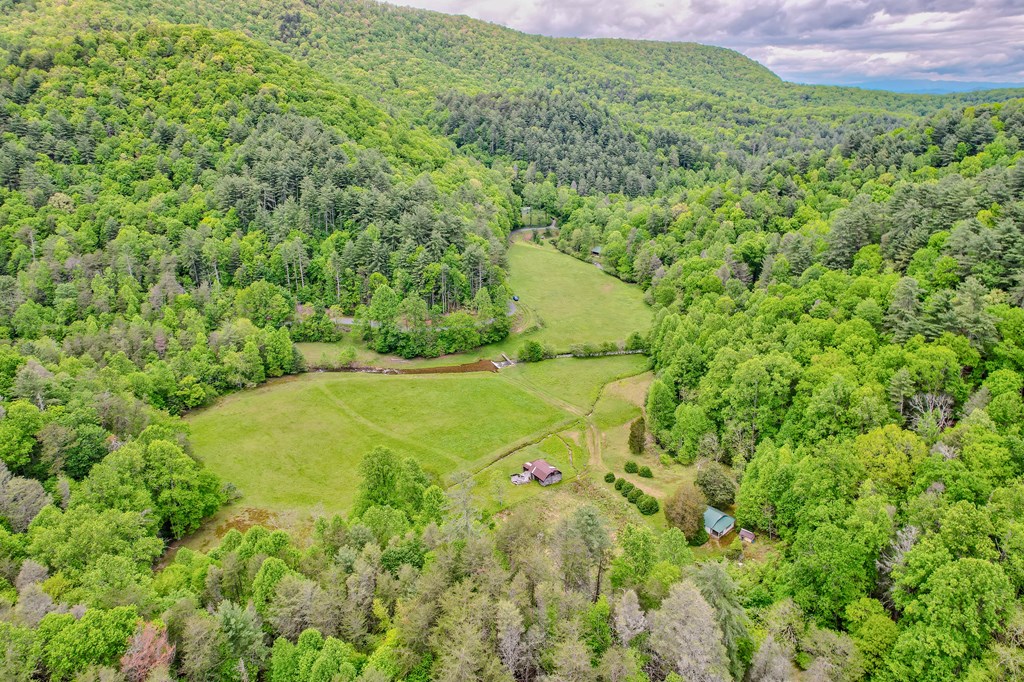 16400 Big Creek Road