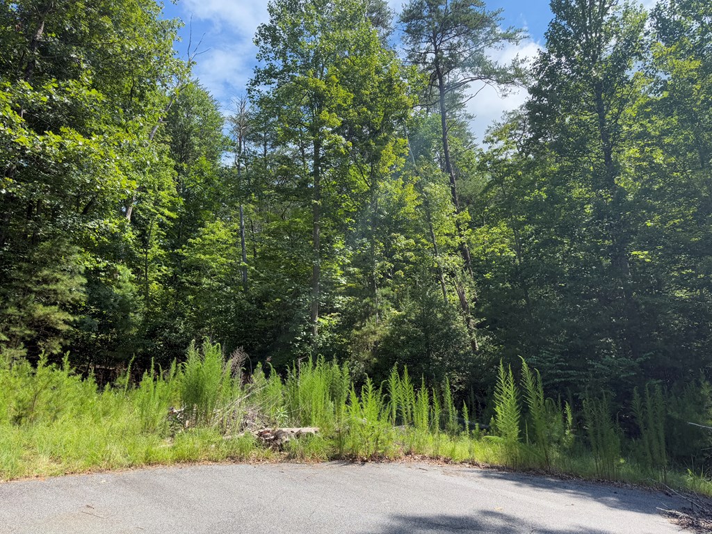 Lot 106 Asheland Cove