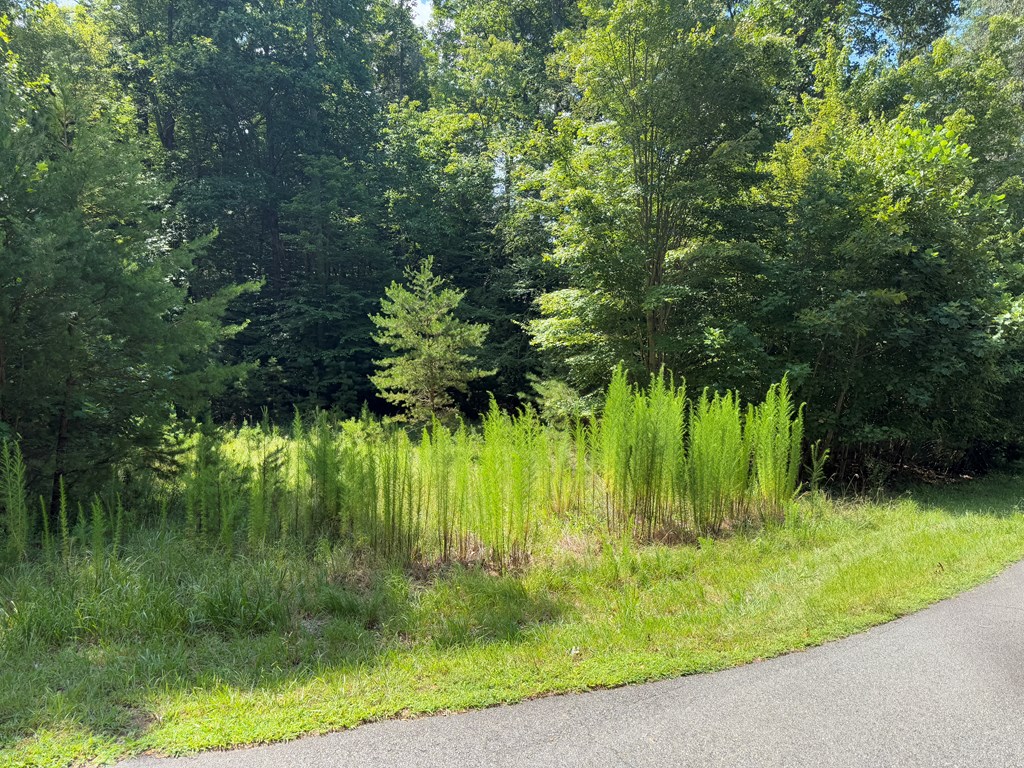 Lot 106 Asheland Cove