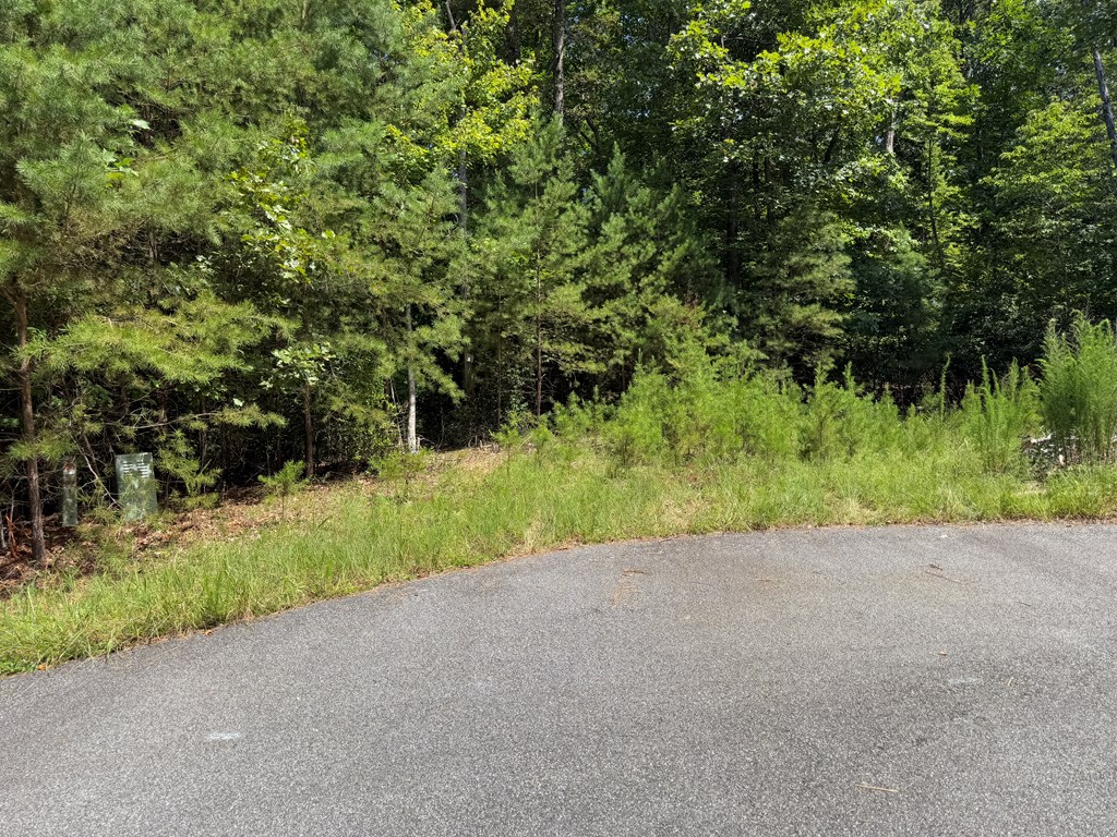 Lot 106 Asheland Cove