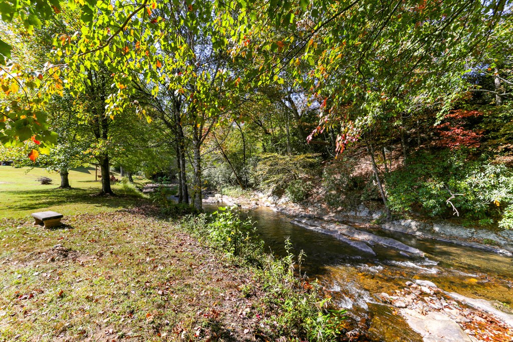 3533 Old Hwy 64e