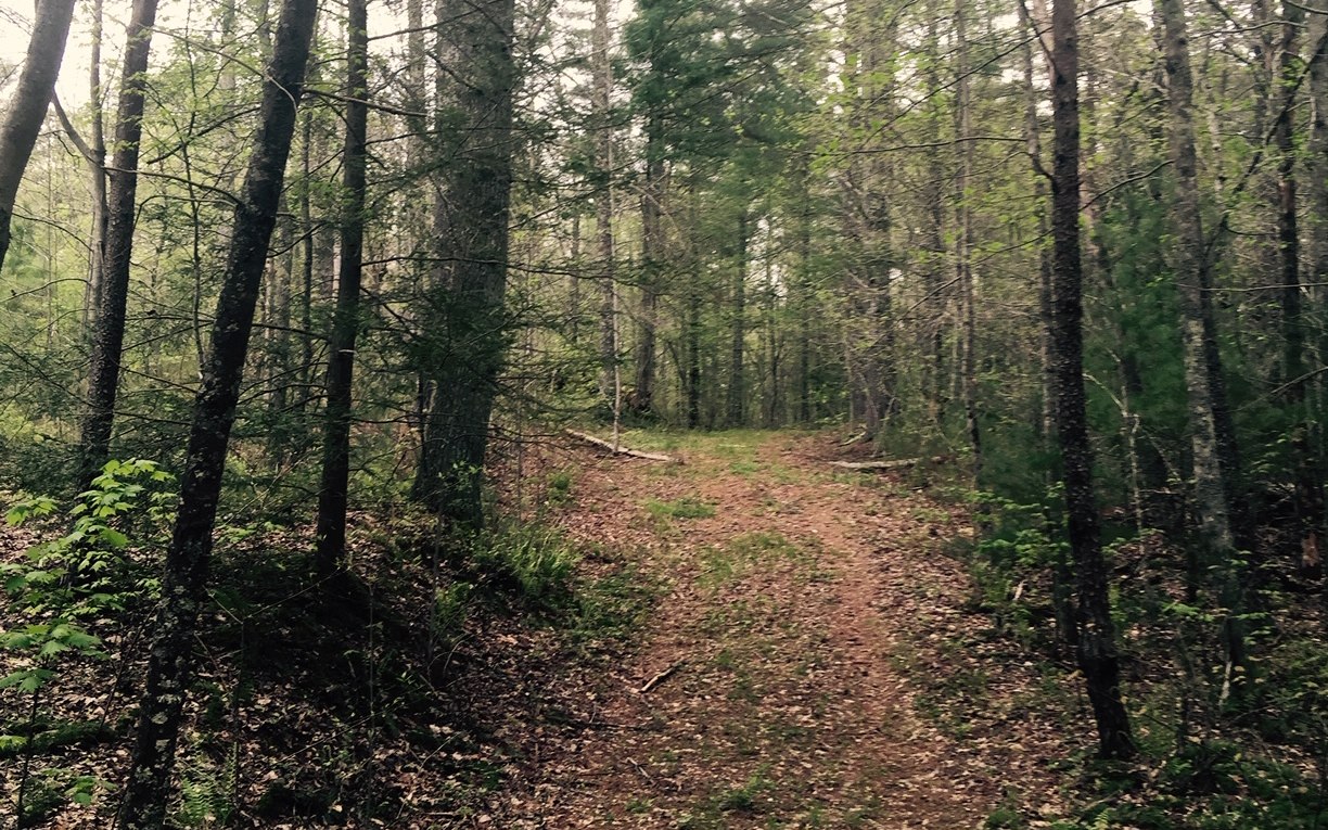 116 Acre Mountain View Road