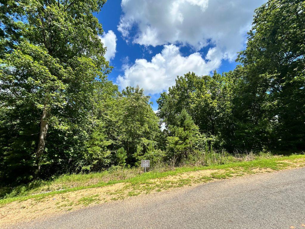 HP25 Old Toccoa Loop