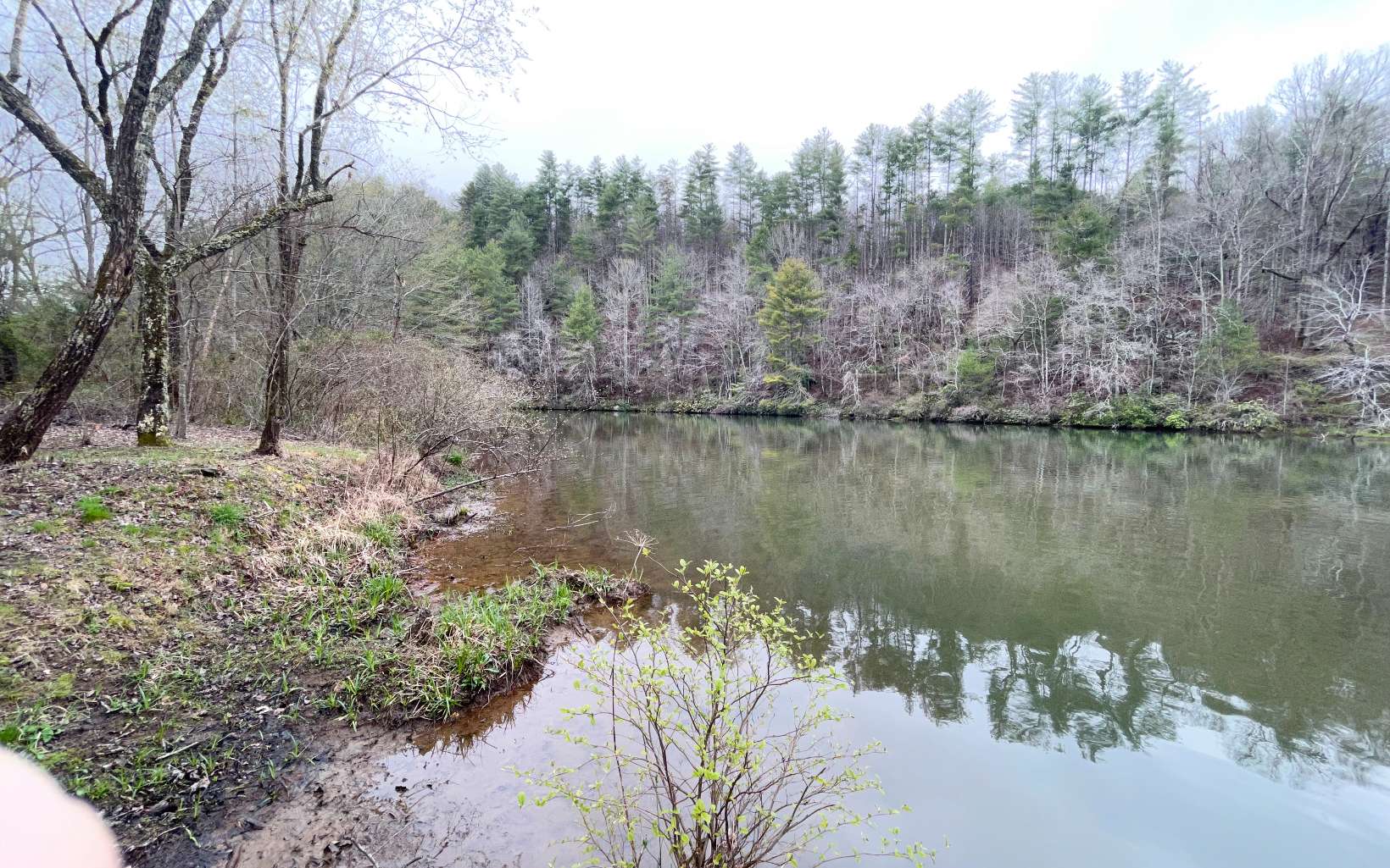 LOT 5 Trillium Heights