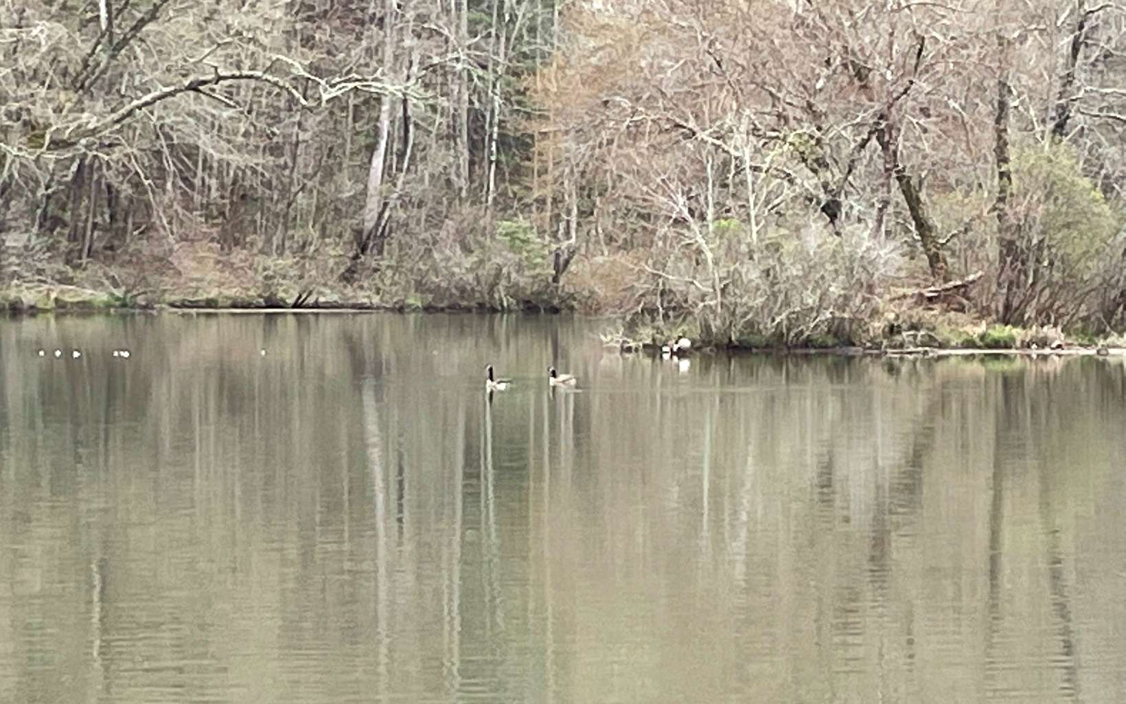 LOT 5 Trillium Heights