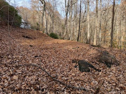 Lot 10 Cherokee Circle Ellijay GA 30536