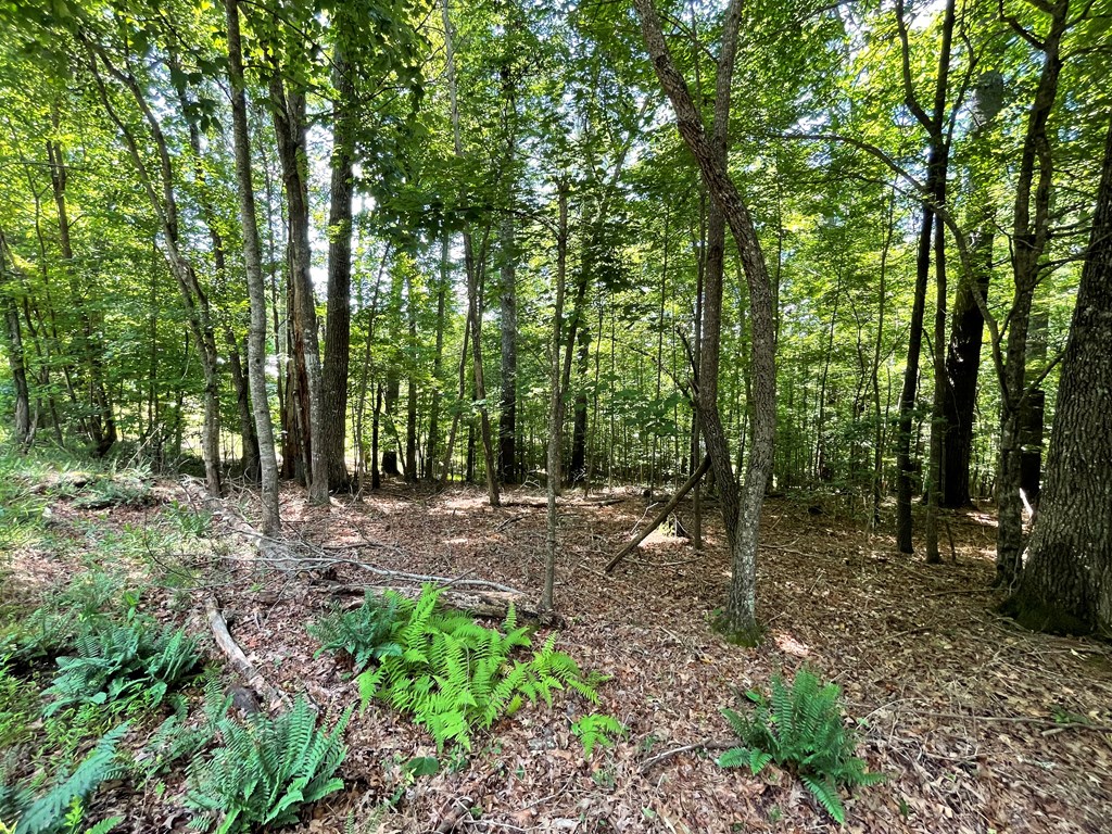 Lot 15 Summit Way