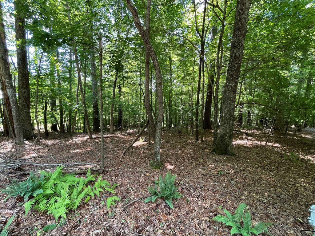 Lot 15 Summit Way