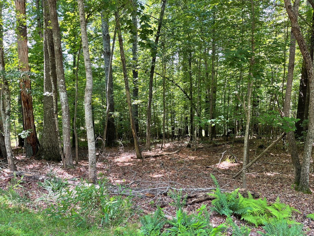 Lot 15 Summit Way