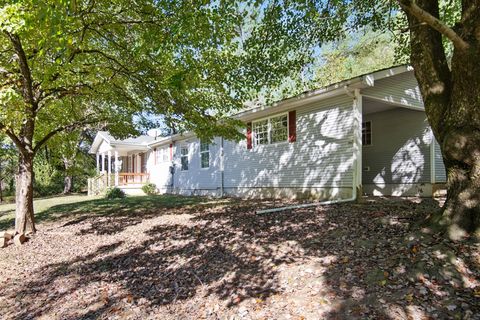 A home in Blue Ridge