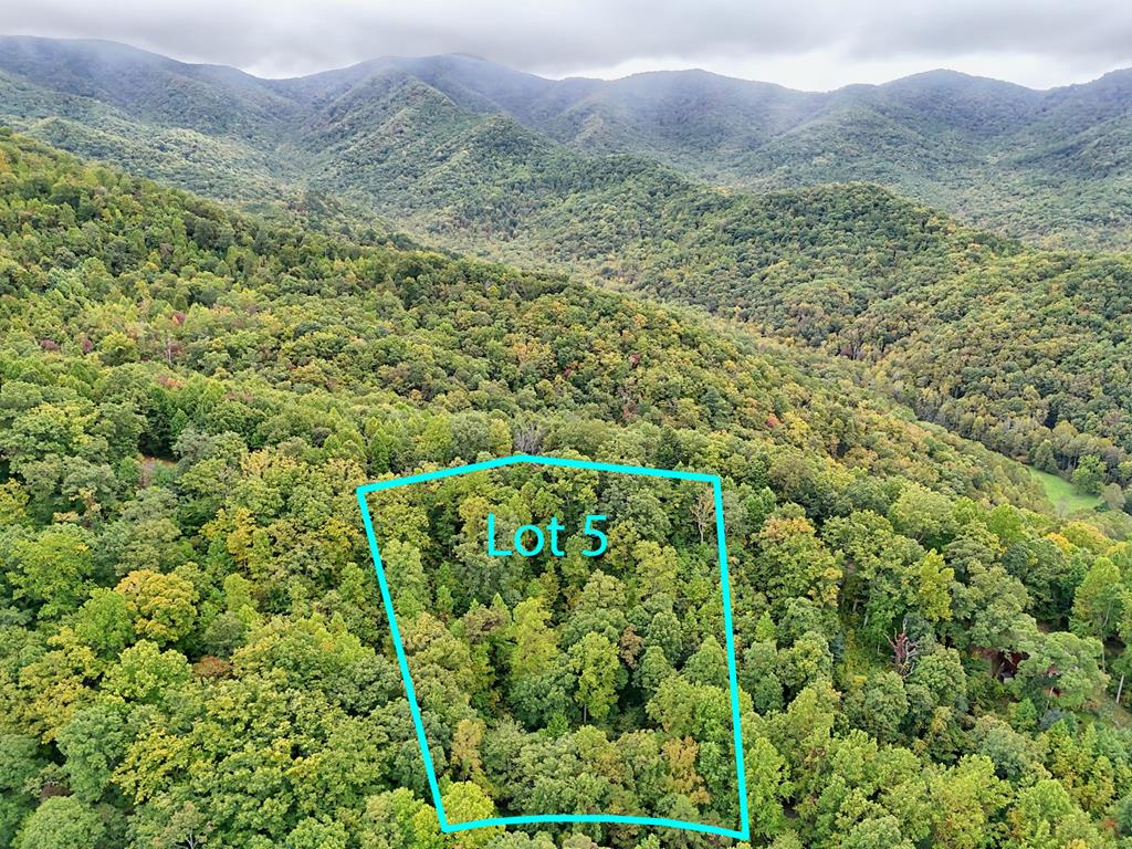 Lot 5 Skyview Drive