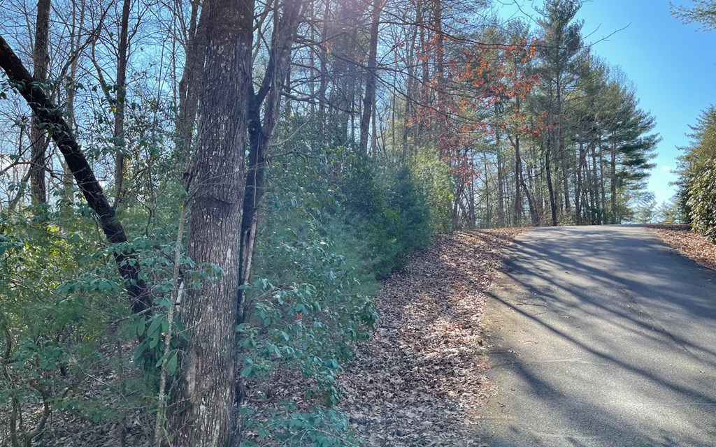 Lot 42 Granite Dr/Fires Crk