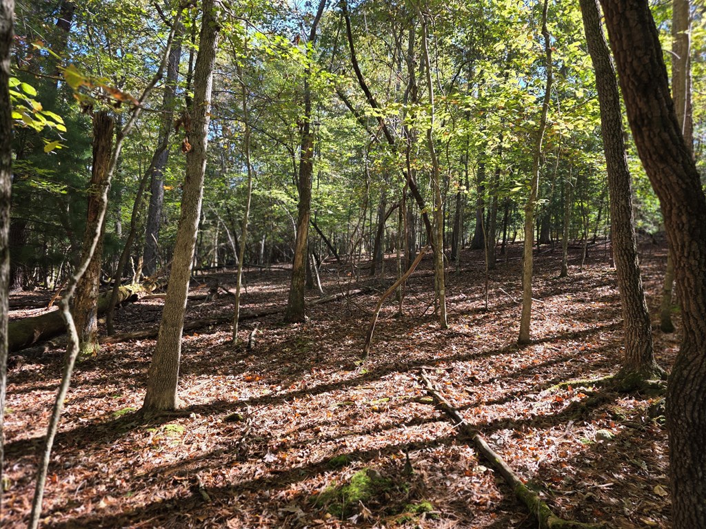 Lot #385 Zenith Trail