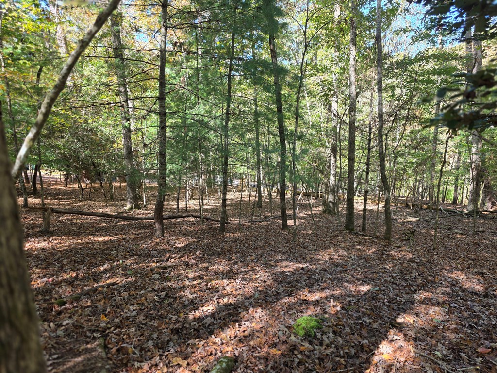 Lot #385 Zenith Trail