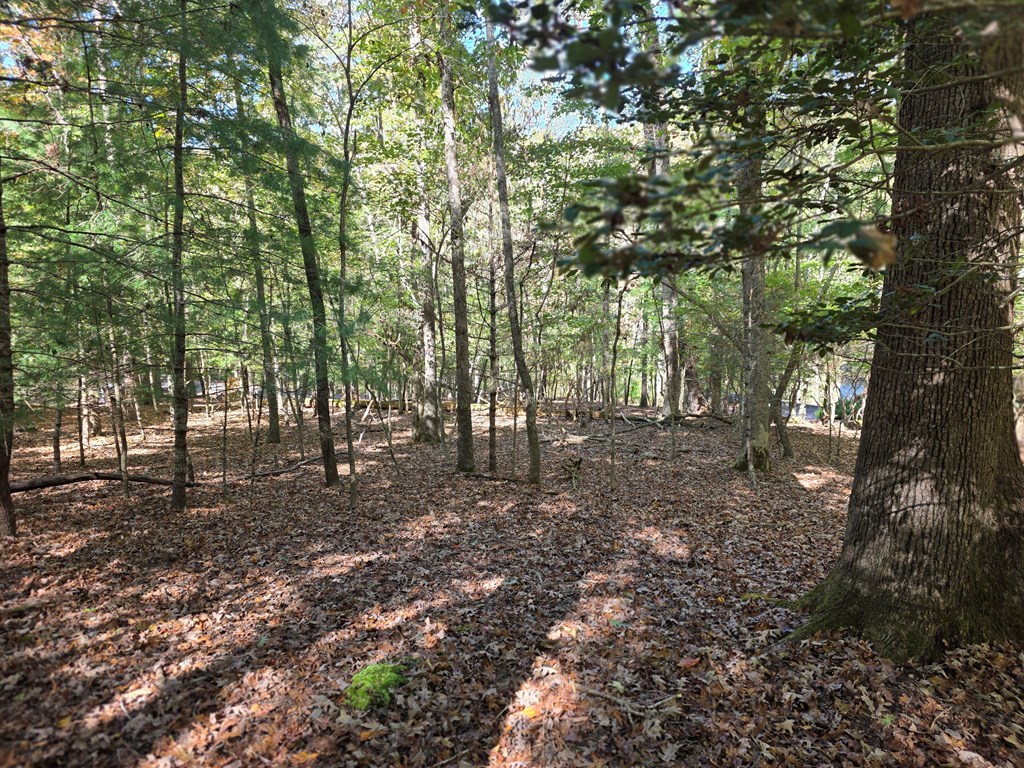 Lot #385 Zenith Trail