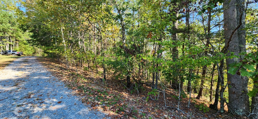 Lot 1699 Shade Tree Drive