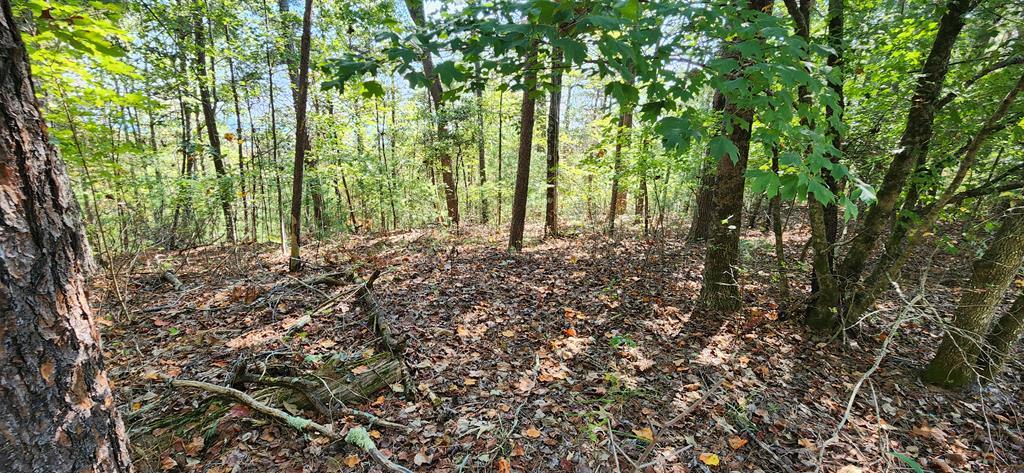 Lot 1699 Shade Tree Drive