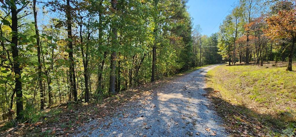 Lot 1699 Shade Tree Drive