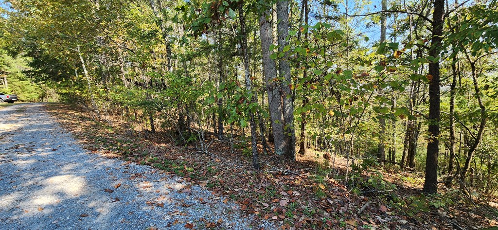 Lot 1699 Shade Tree Drive