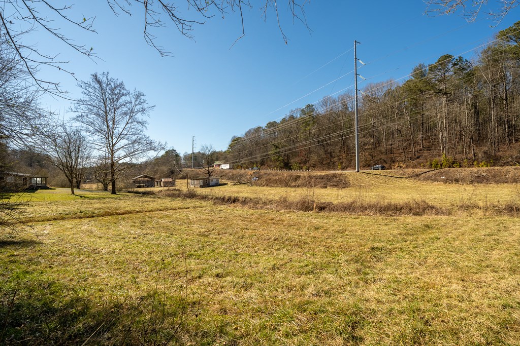 7589 Tails Creek Road