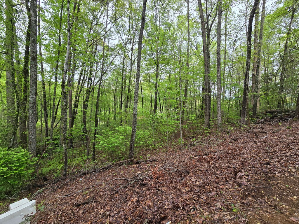 Lot 69 Chatuge Village