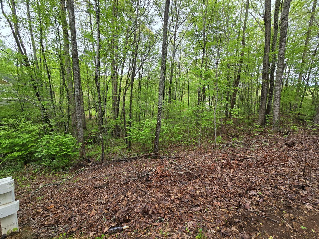 Lot 69 Chatuge Village