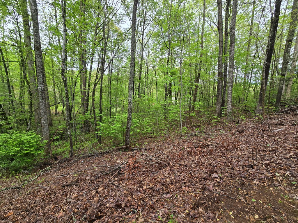 Lot 69 Chatuge Village